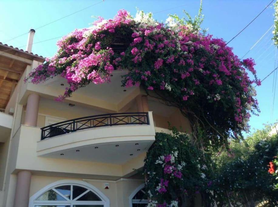 Lenico Beachfront Suites Agia Pelagia  Exterior foto