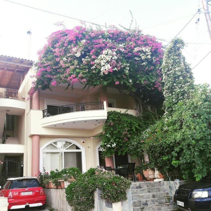 Lenico Beachfront Suites Agia Pelagia  Exterior foto